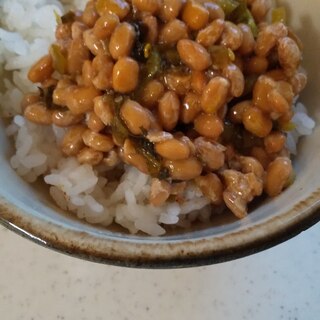 納豆高菜ごはん☆